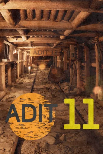 Boxart for game Adit 11