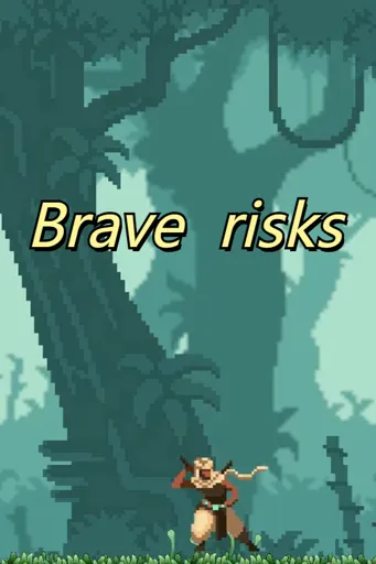 Boxart for game Brave  Risks