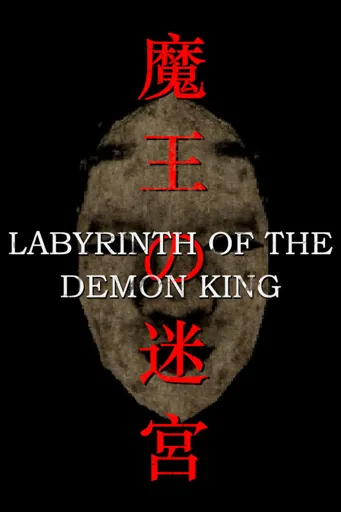 Boxart of game Labyrinth Of The Demon King