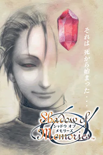 Boxart of game Shadow of Memories